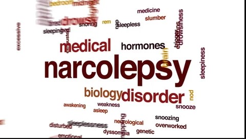 What’s Narcolepsy Mean ? Do you Ever get rid of Narcolepsy ?