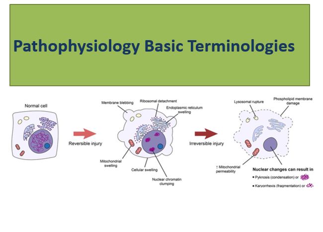 Pathophysiology Basic Terminologies