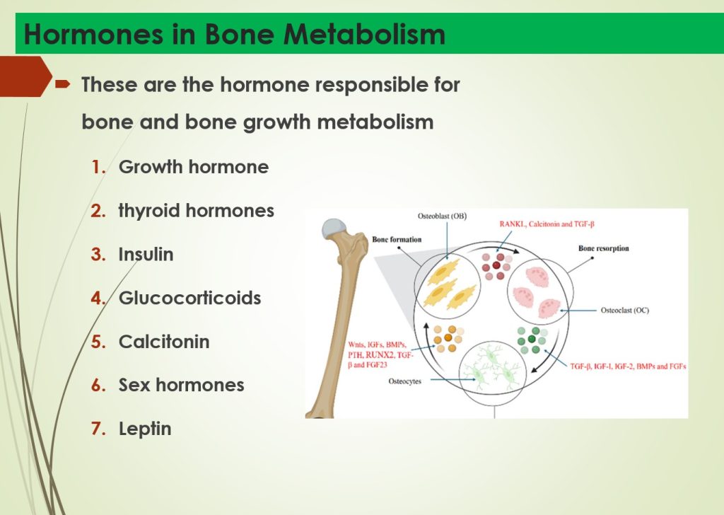 Hormones Roles in Bone Metabolism -Study Notes
