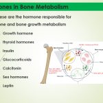 Hormones Roles in Bone Metabolism -Study Notes