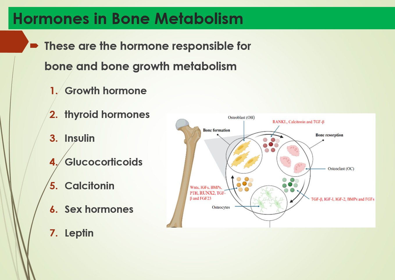 Hormones Roles in Bone Metabolism -Study Notes